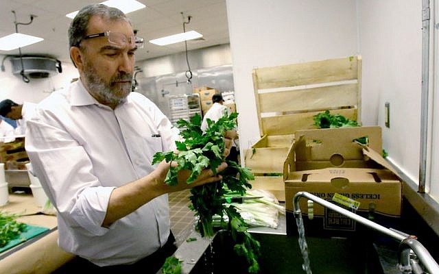 In this April 18, 2016 photo, Rabbi Raphael Berdugo checks parsley for insects as part of the preparation for the Passover holiday at the Waldorf Astoria resort at Disney World in Orlando, Fla. (AP Photo/John Raoux) In this April 18, 2016 photo, Rabbi Raphael Berdugo checks parsley for insects as part of the preparation for the Passover holiday at the Waldorf Astoria resort at Disney World in Orlando, Fla. (AP Photo/John Raoux)