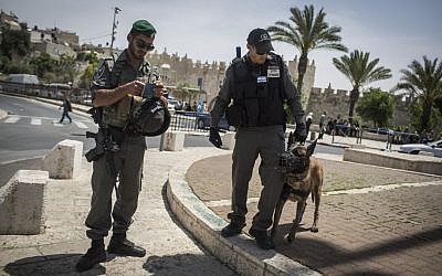 Border police stand guard at the Damascus Gate to Jerusalem's Old City on Sunday, April 24, 2016 (Hadas Parush/Flash90)