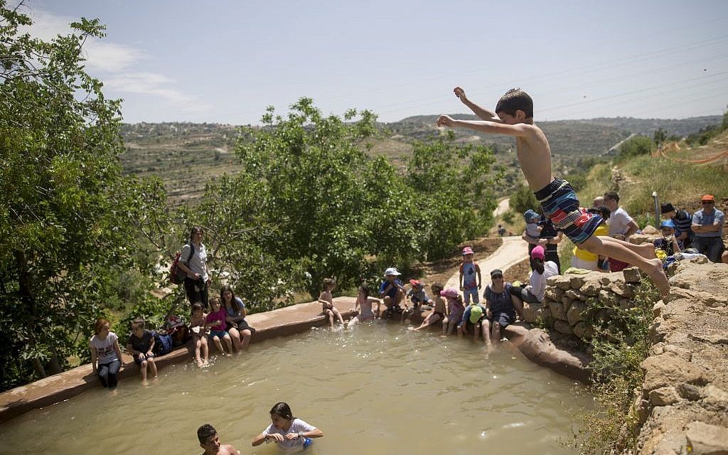 Israelis swim in a natural spring in the outskirts of Jerusalem during Passover on Sunday, April 24, 2016 (Yonatan Sindel/Flash90)