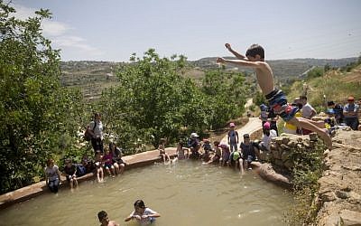 Israelis swim in a natural spring in the outskirts of Jerusalem during Passover on Sunday, April 24, 2016 (Yonatan Sindel/Flash90)