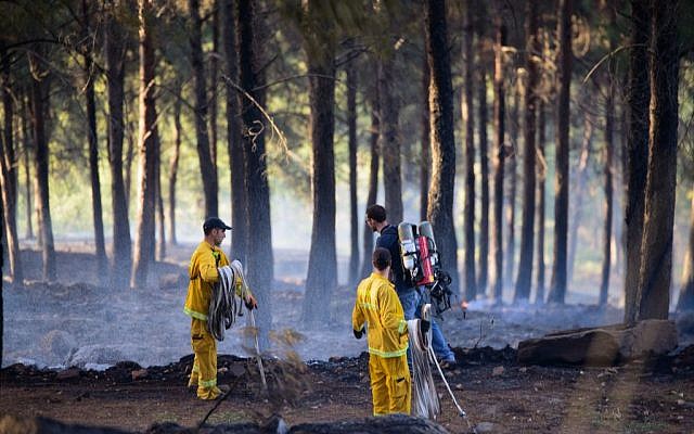 Firefighters try to extinguish a forest fire raging in Biriya Forest, near Safed, northern Israel, April 25, 2016. (Basel Awidat/Flash90)