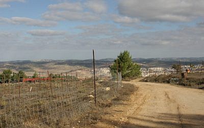 A view towards the coast from Kibbutz Kfar Etzion (Shmuel Bar-Am)