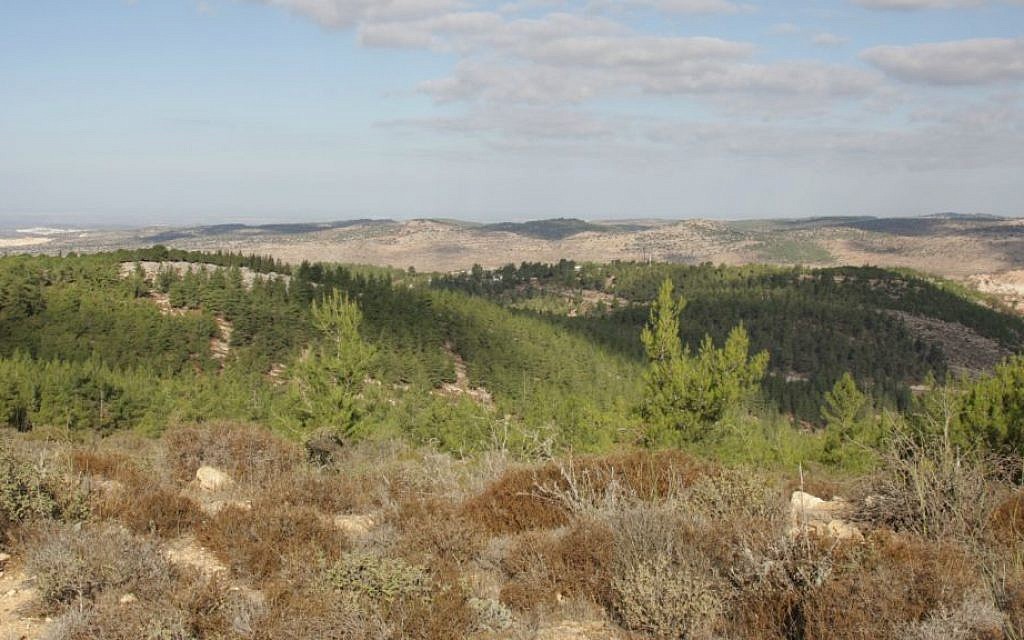 A view from Kfar Etzion (Shmuel Bar-Am)