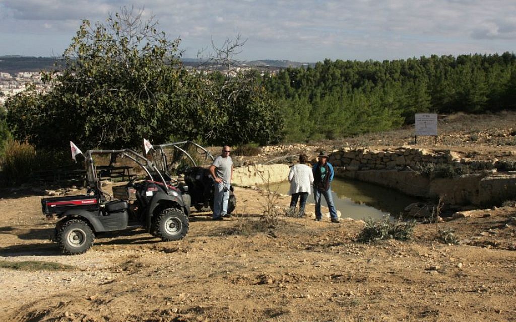 The "Dog Spring" in the Etzion Bloc area (Shmuel Bar-Am)