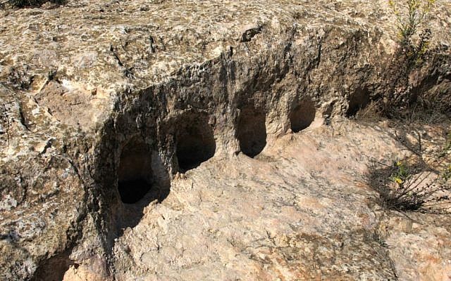 A Second Temple era columbarium used by Jewish settlers in the area to grow pigeons (Shmuel Bar-Am)