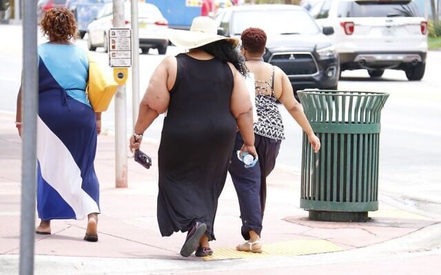 Illustrative: Obesity (Pixabay) Illustrative: Obesity (Pixabay)