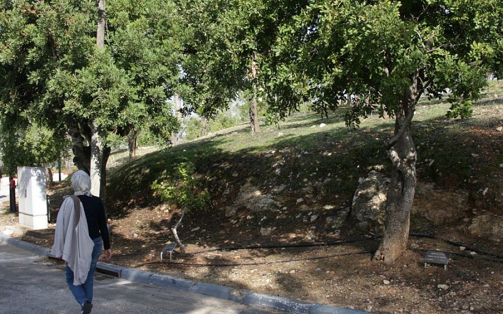 A path in the Garden of the Righteous. (Shmuel Bar-Am)