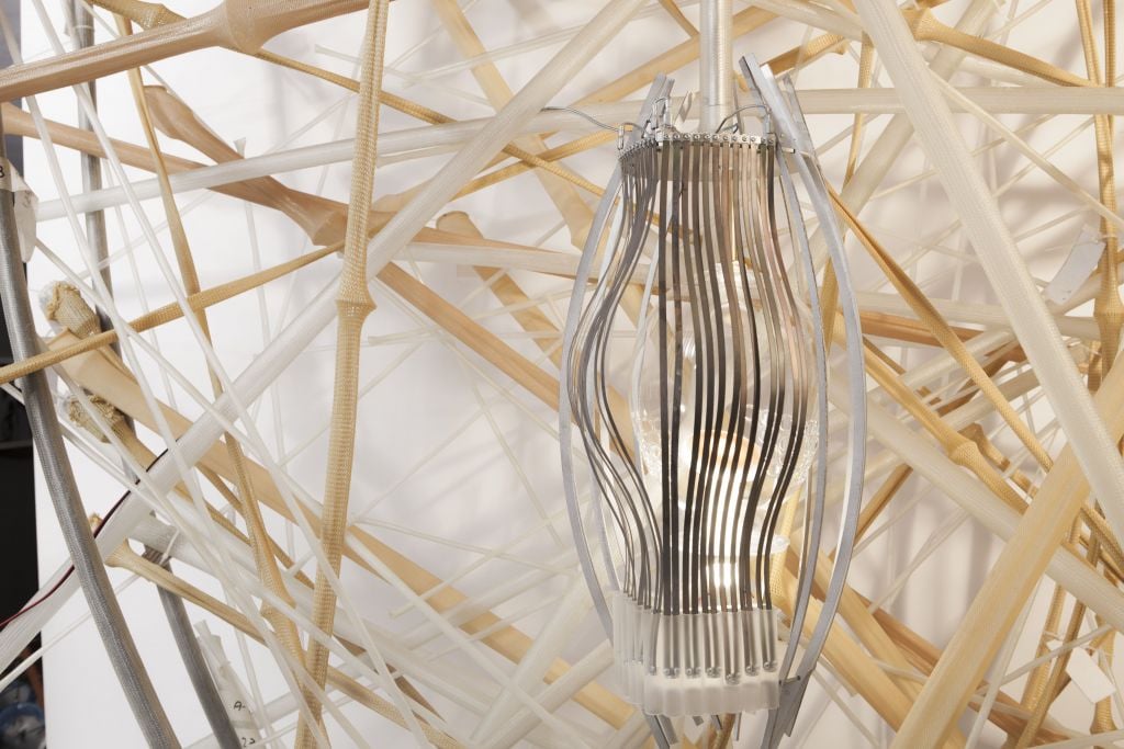 A closer look at one of the 'live' elements of the May 2016 Biennale bird's nest (Courtesy LifeObject team) A closer look at one of the 'live' elements of the May 2016 Biennale bird's nest (Courtesy LifeObject team)