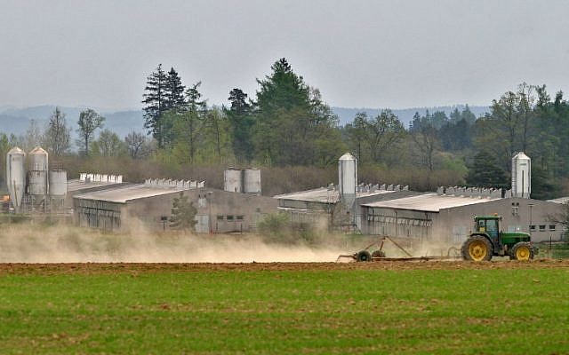 A tractor passing by a huge industrial pig farm situated at the site of former concentration camp in Lety, south Bohemia, May 4, 2005. (AFP/MICHAL CIZEK) A tractor passing by a huge industrial pig farm situated at the site of former concentration camp in Lety, south Bohemia, May 4, 2005. (AFP/MICHAL CIZEK)