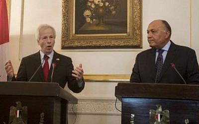 Egyptian Foreign Minister Sameh Shoukry (R), and his Canadian counterpart Stephane Dion attend a joint press conference following their meeting in Cairo, May 25, 2016. (AFP Photo / Khaled Desouki)