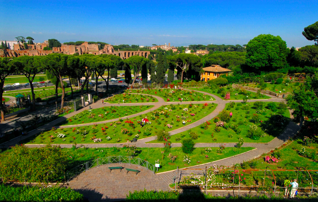 A view from above of Rome's public Rose Garden. The garden's paths form the shape of a menorah as a reminder of the burial grounds that the Jewish community had here for hundreds of years (photo by Luciano Rossetti, courtesy of Rome Garden Authority) A view from above of Rome's public Rose Garden. The garden's paths form the shape of a menorah as a reminder of the burial grounds that the Jewish community had here for hundreds of years (photo by Luciano Rossetti, courtesy of Rome Garden Authority)