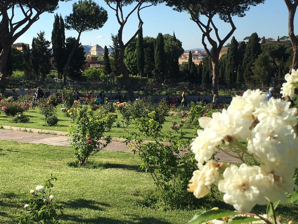 Through the flora rises the dome of the Great Synagogue, one of the centers of Rome's 13,000-strong Jewish community (Rossella Tercatin) Through the flora rises the dome of the Great Synagogue, one of the centers of Rome's 13,000-strong Jewish community (Rossella Tercatin/Times of Israel)