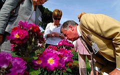 A judge in the international competition at Rome's public Rose Garden stops to smell the roses. (Courtesy Rome Garden Authority)