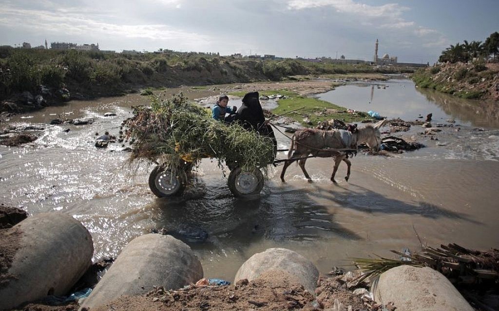 In this Wednesday, April 13, 2016 photo, A woman makes her way with her donkey in sewage water in Mighraqa neighborhood on the outskirts of Gaza City. (AP Photo/Khalil Hamra)
