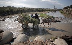 In this Wednesday, April 13, 2016 photo, A woman makes her way with her donkey in sewage water in Mighraqa neighborhood on the outskirts of Gaza City. (AP Photo/Khalil Hamra)