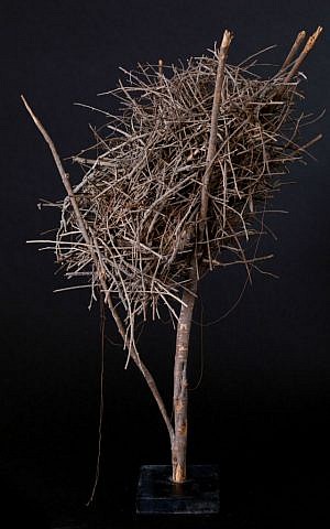 A look at the LifeObject 'nest,' as it will appear at the May 26, 2016 International Architectural Biennale in Venice, Italy (Courtesy LifeObject team) A look at the LifeObject 'nest,' as it will appear at the May 26, 2016 International Architectural Biennale in Venice, Italy (Courtesy LifeObject team)