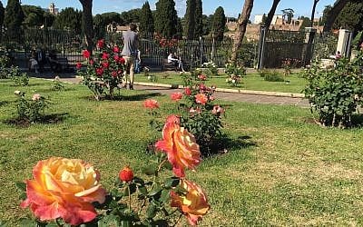 Each spring visitors flock to enjoy the 1,100 species of roses growing in the garden (Rossella Tercatin) Each spring visitors flock to enjoy the 1,100 species of roses growing in the garden (Rossella Tercatin/Times of Israel)