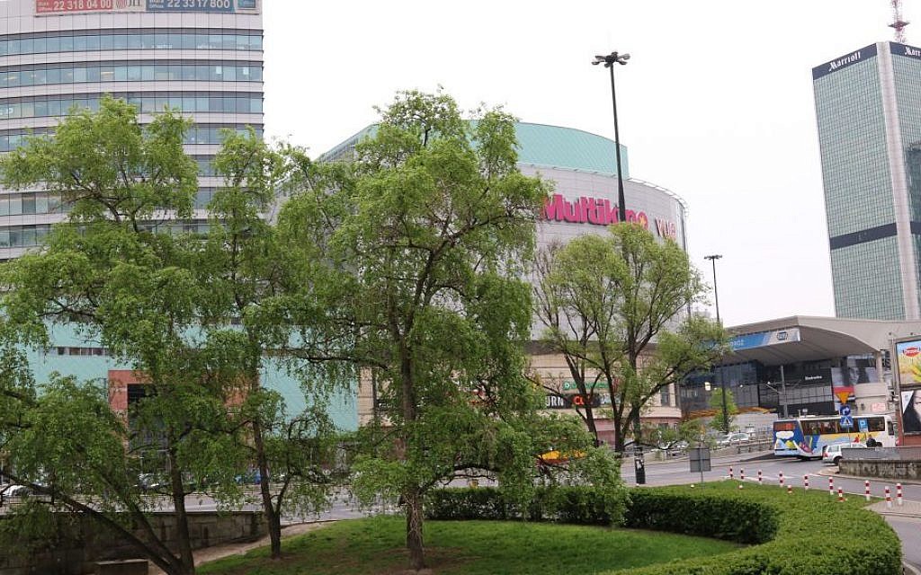 Modern Warsaw features many modern buildings, some designed by world-famous architects. (Shmuel Bar-Am)