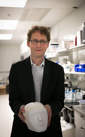Gal Sela, co-founder at Synaptive Medical, shows off his company's fake brains in the MaRS research facility in Toronto on May 3, 2016. (Nabil Shash/Government of Ontario)
