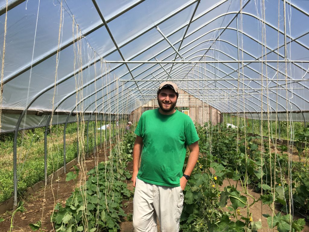 Tufts University student Noah Weinberg is a fellow at the Adamah Farm Project (Cathryn J. Prince/Times of Israel) Tufts University student Noah Weinberg is a fellow at the Adamah Farm Project (Cathryn J. Prince/Times of Israel)