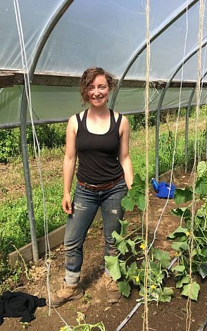 Farm fellow Lilly Pearlman played the fiddle in a band before coming to the Adamah Farm Project (Cathryn J. Prince/Times of Israel) Farm fellow Lilly Pearlman played the fiddle in a band before coming to the Adamah Farm Project (Cathryn J. Prince/Times of Israel)