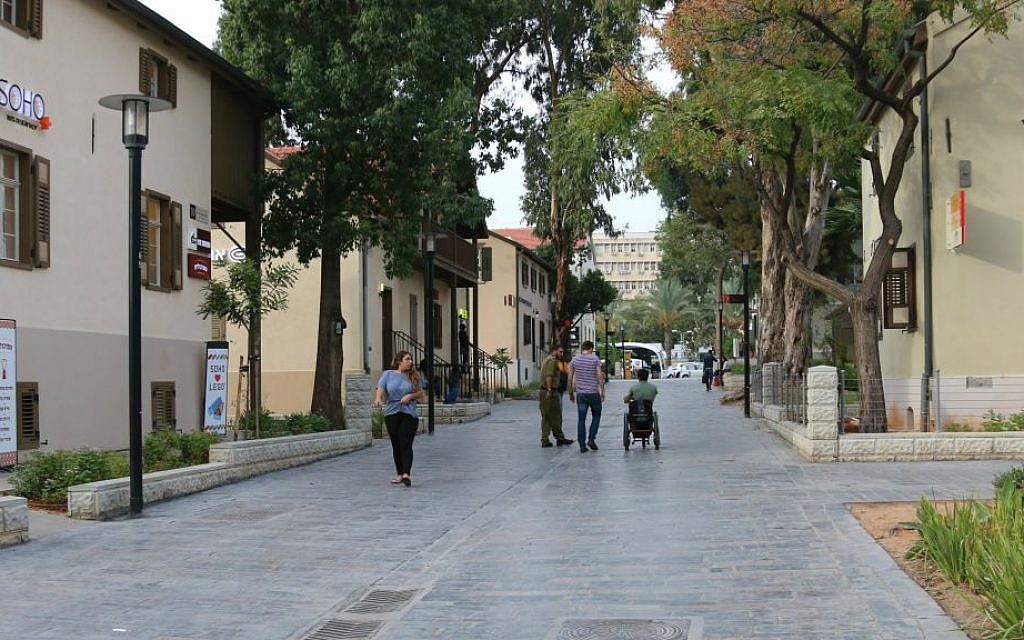 Early settlers planted over a thousand Eucalyptus trees in what is now the Sarona complex. (Shmuel Bar-Am)
