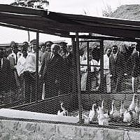 Prime Minister Levi Eshkol tours a newly established village, similar to a moshav, in Ivory Coast, June 1, 1966. (Moshe Fridan/GPO)