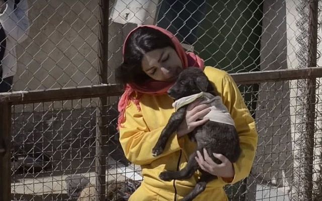A woman holds a dog at an Iranian dog shelter (YouTube screenshot) A woman holds a dog at an Iranian dog shelter (YouTube screenshot)