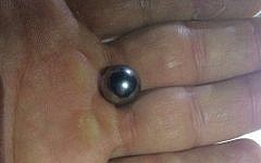 A ball-bearing found after an attack on an Israeli bus traveling near Nablus in the West Bank, June 5, 2016. (IDF Spokeman)