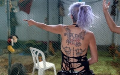 Nora Lifschitz works in her new bat shelter located in Israel's central Elah Valley, south of Beit Shemesh on June 22, 2016. (AFP PHOTO/MENAHEM KAHANA) Nora Lifschitz works in her new bat shelter located in Israel's central Elah Valley, south of Beit Shemesh on June 22, 2016. (AFP PHOTO/MENAHEM KAHANA)