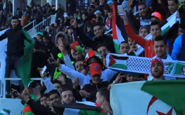 Algerian soccer fans cheer for Palestine in friendly match between the two countries February 17, 2016 (Screen capture: YouTube)