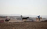 Young Bedouin boys seen riding donkeys near the Bedouin village of Kuseife, in the Negev, December 19, 2013. (Yaakov Naumi/Flash90)