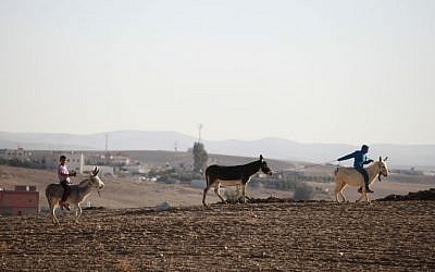 Young Bedouin boys seen riding donkeys near the Bedouin village of Kuseife, in the Negev, December 19, 2013. (Yaakov Naumi/Flash90)