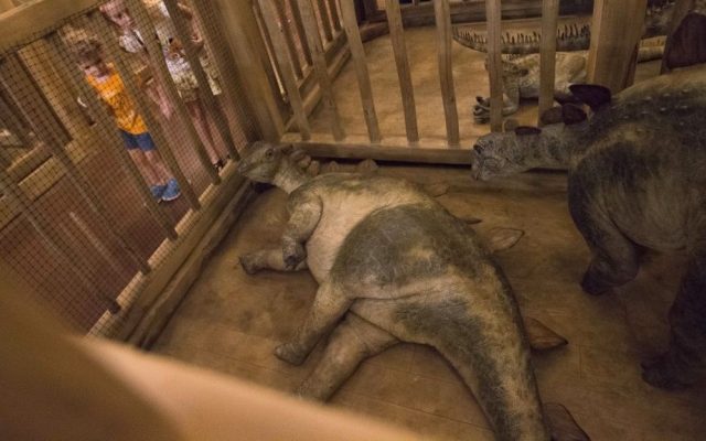 Children look into a cage containing model baby dinosaurs inside a replica Noah's Ark at the Ark Encounter theme park during a media preview day on July 5, 2016, in Williamstown, Ky. (AP Photo/John Minchillo)