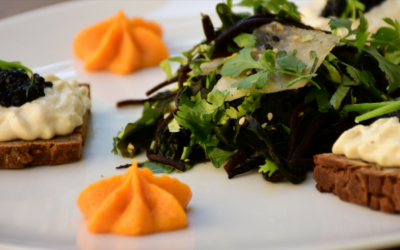 The fresh, farm-to-table offerings at Meshek Barzilay in Tel Aviv's Neve Tzedek neighborhood aren't purely vegan, but that's cashew cream on those toasts (Courtesy Meshek Barzilay)