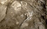 Bones of a prehistoric woman discovered in a burial site in the Hilazon cave in northern Israel. (Naftali Hilger)