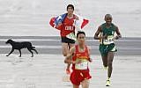 A stray dog runs behind Chile's Daniel Estrada (L) and South Africa's Sibusiso Nzima as they run towards the finish line of the Men's Marathon during the 2016 Olympic Games, August 21, 2016. (AFP/Adrian Dennis)
