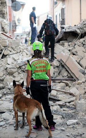 Rescuers search for victims among the rubble of a house after a strong heartquake hit Amatrice, Italy, August 24, 2016. (AFP/FILIPPO MONTEFORTE) Rescuers search for victims among the rubble of a house after a strong heartquake hit Amatrice, Italy, August 24, 2016. (AFP/FILIPPO MONTEFORTE)