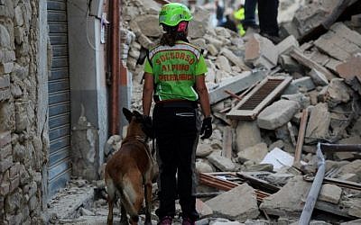 Rescuers search for victims among the rubble of a house after a strong earthquake hit Amatrice in central Italy on August 24, 2016. (AFP PHOTO/FILIPPO MONTEFORTE)
