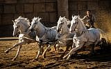 Starring  Jack Huston as Judah Ben-Hur, this is the fifth film adaptation of the 1880 novel 'Ben-Hur: A Tale of the Christ' by Lew Wallace. (courtesy Paramount Pictures)