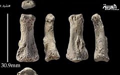 Human bones from a middle finger dating back 90,000 years found in Saudi Arabia, according to an announcement August 17, 2016 by the country's Commission for Tourism and National Heritage.