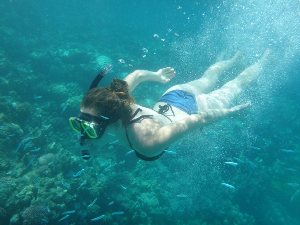 No Sinai terrorism here, from what this Israeli tourist can see in the Red Sea on August 15, 2016. (courtesy Yuval Saidman)