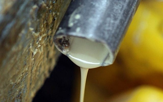 Tahini production (illustrative photo: Yossi Zamir/Flash 90)