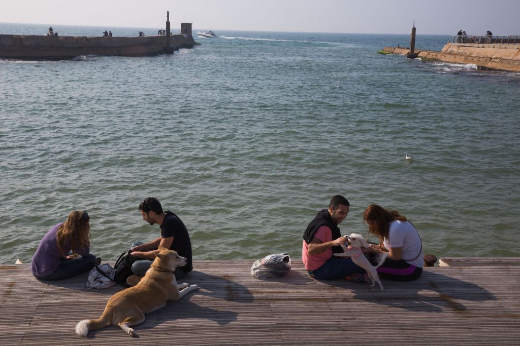 Dogs and their owners by the sea at the Tel Aviv port (Miriam Alster/Flash 90)