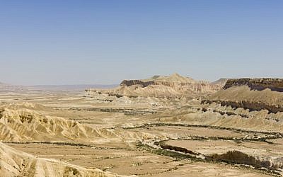 Ein Avdat in the Zin Valley in the Negev is almost as devoid of content as August in the Israeli media. (CC BY-SA 3.0 Wikipedia/Godot13)