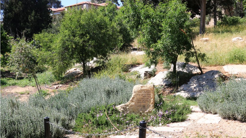 The Azulai Orchard is named for Lior Azulai, an 18-year-old who was killed by a suicide bomber in 2004. (Shmuel Bar-Am) The Azulai Orchard is named for Lior Azulai, an 18-year-old who was killed by a suicide bomber in 2004. (Shmuel Bar-Am)