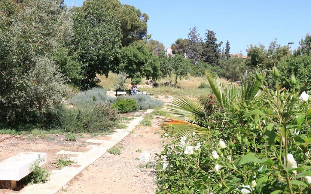 The Azulai Orchard in the exclusive neighborhood of Talbieh. (Shmuel Bar-Am)