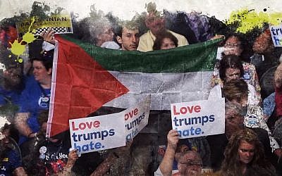 A demonstrator holds a Palestinian flag at the 2016 Democratic National Convention (Republican Jewish Coalition/YouTube screenshot)