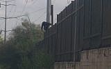 Spider monkey escaping from Hai-Kef zoo in Rishon Lezion (Israel police)