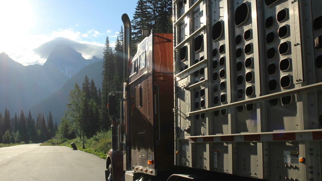 The modern-day Noah's ark, pictured here crossing the Canadian Rockies on August 1, 2016, will take about a week and a half to cover the more than 4,000 km between Vancouver and Toronto. (courtesy Gil Lewinsky)